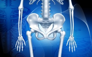 Vitamin B12 Deficiency and Osteoporosis