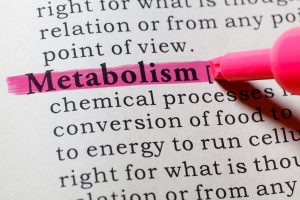 metabolism, health, weight