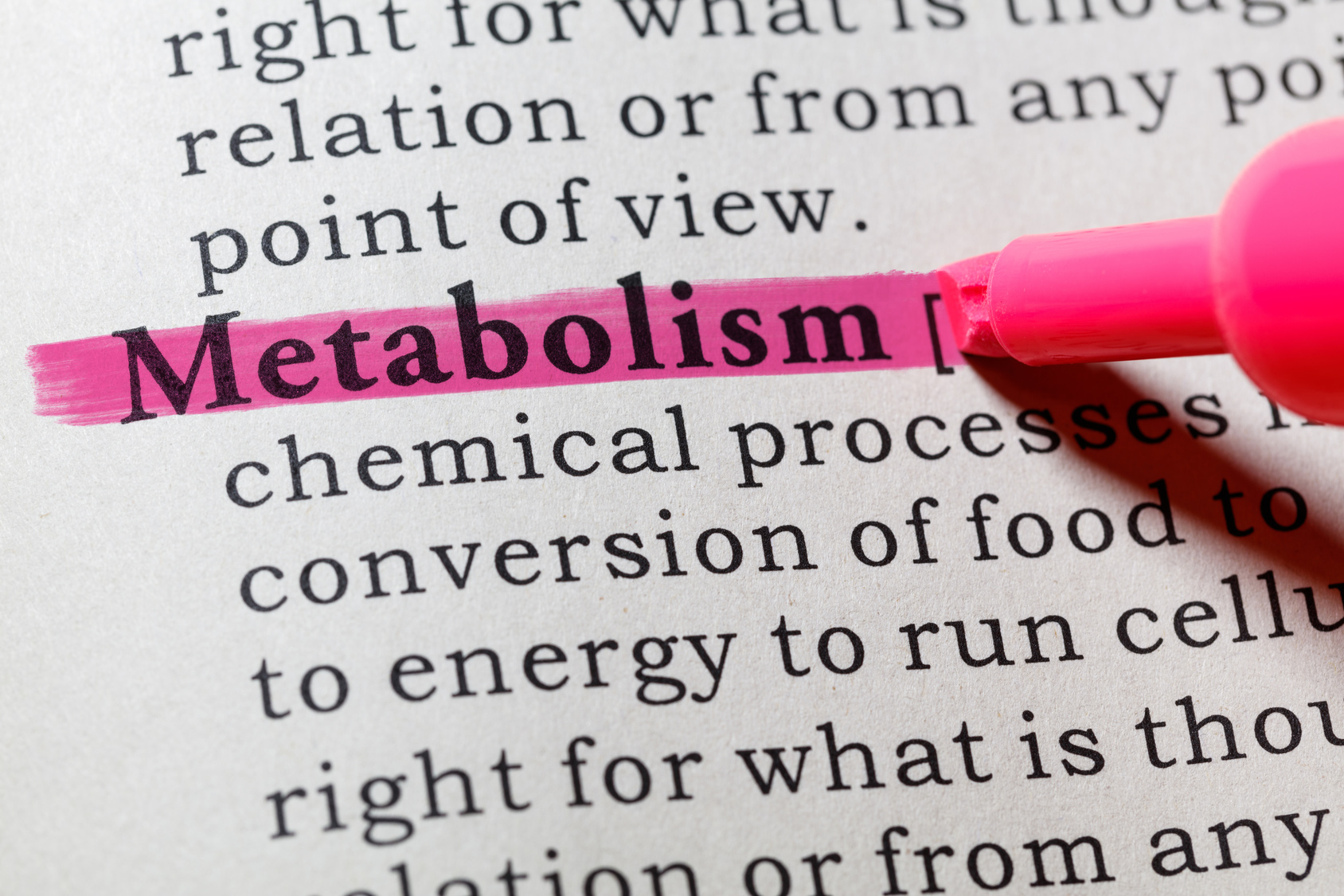 definition-of-metabolism-vita-sciences